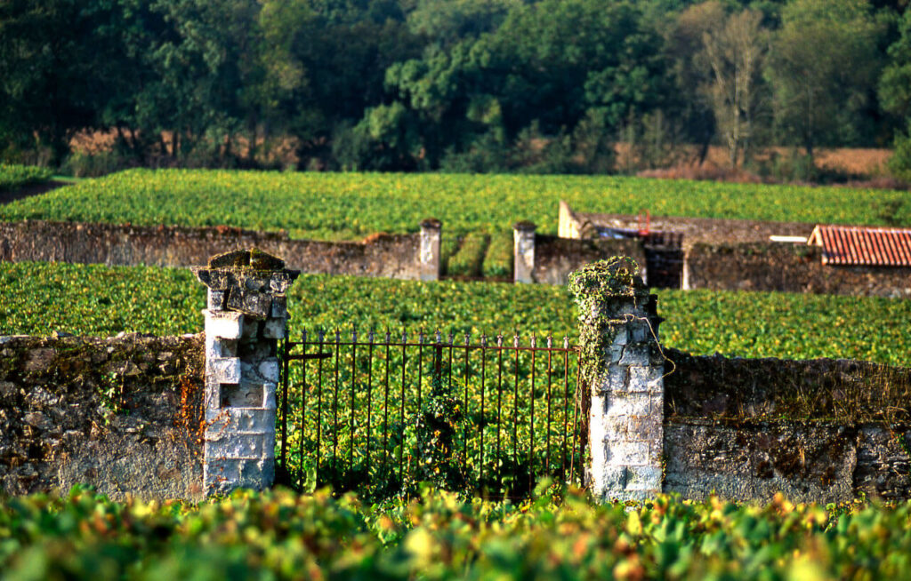loire7